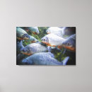Search for piranha Underwater
