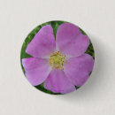 Search for rosa badges Roses