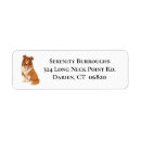 Search for collie return address labels Puppy