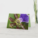 Search for orchid birthday cards Tropical