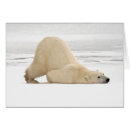 Search for hudson bay postcards Carnivore