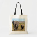 Search for reserved bags Savannah