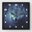 Search for wolf clocks Wild animal