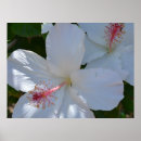 Search for christmas landscape posters White