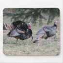 Search for mate mousepads Birds