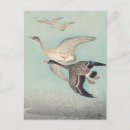 Search for vintage flight postcards Bird
