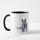 Search for russian cat mugs Cute