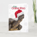 Search for belated christmas cards Funny
