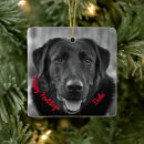 Search for black labrador christmas tree decorations Puppy