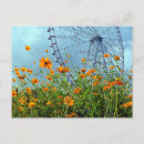 Search for flower wheels postcards Flowers
