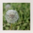 Search for dandelion puzzles Green