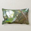 Search for green parrot cushions Parakeets