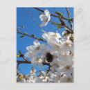Search for bumblebees postcards Flowers