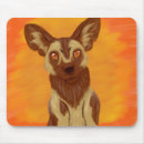 Search for wild mousepads Endangered