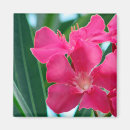 Search for deep colours magnets Flowers