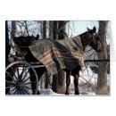 Search for buggy photography Equine