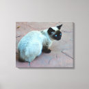 Search for christmas kitten art Pet