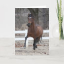 Search for bay horse cards Stallion