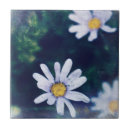 Search for awesomeness tiles Blue