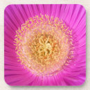 Search for pollen coasters Floral