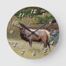 Search for elk clocks Wild