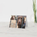 Search for chocolate lab birthday cards Pets