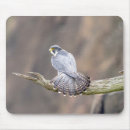 Search for falconer mousepads Predator