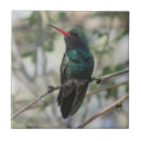 Search for hummingbird tiles Blue