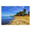 Search for fiji posters Tropical