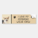 Search for welsh bumper stickers Pembroke welsh corgi