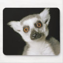 Search for lemurs electronics Monkey