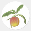 Search for vintage fruit stickers Peaches