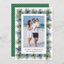 Search for pine christmas cards Watercolor