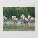 Search for jim postcards Farm