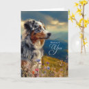 Search for australian shepherds cards Thinking of you