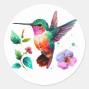 Search for colourful hummingbird stickers Cute