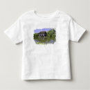 Search for kyoto tshirts Green