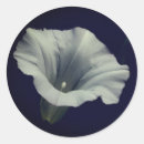 Search for glory stickers Flower