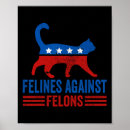 Search for felines posters Democratic ticket