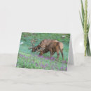 Search for national gallery postcards Bull