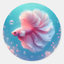 Search for betta fish stickers Aquarium