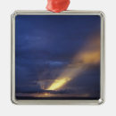 Search for eternity christmas tree decorations Blue