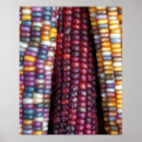 Search for corn art Red