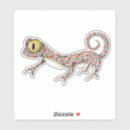 Search for cute gecko stickers Pet
