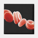 Search for false magnets Colour effect