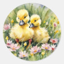 Search for ducklings stickers Happy easter