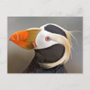 Search for tuft postcards Animal