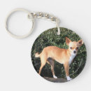 Search for teacup key rings Dog