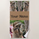 Search for camel photography Cute