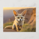 Search for baby fox postcards Wildlife
